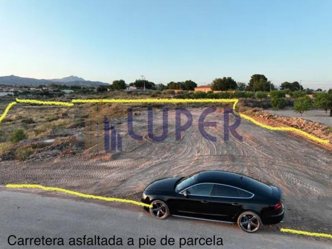 Terreno en venta en San Vicente del Raspeig, Alicante photo 5