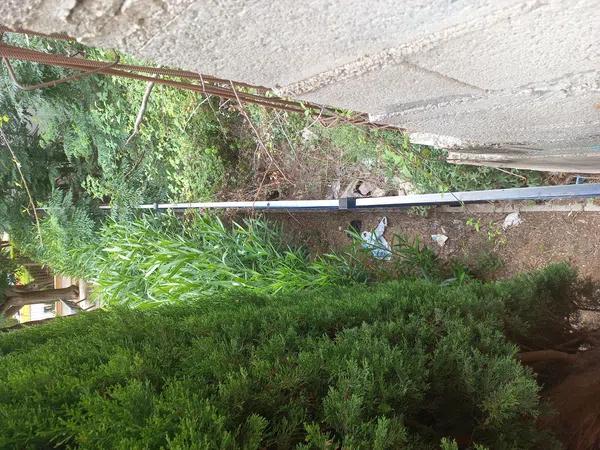 Terreno en calle Benigembla photo 4