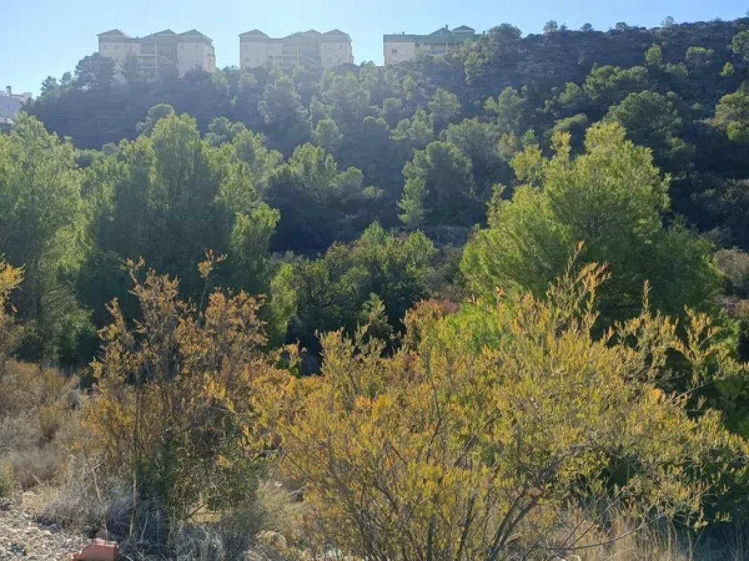 Działka na sprzedaż w Finestrat, Alicante photo 2