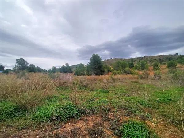 Terreno en Platja de Torres photo 1