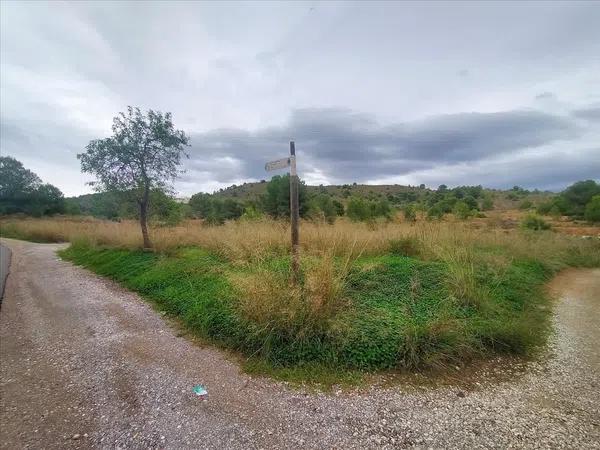 Terreno en Platja de Torres photo 3