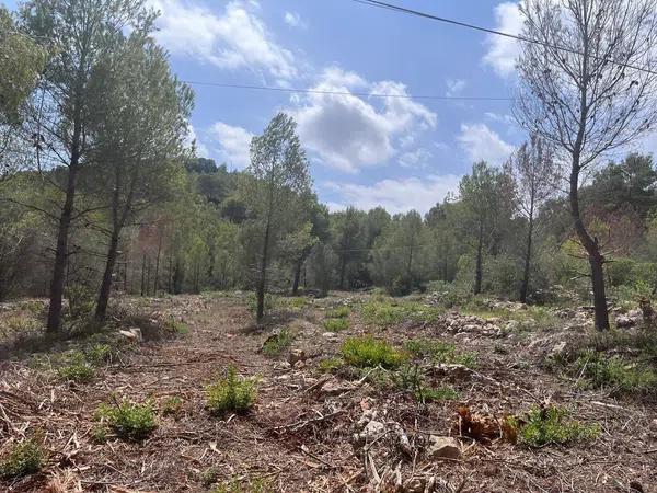 Terreno en calle Peixos photo 1