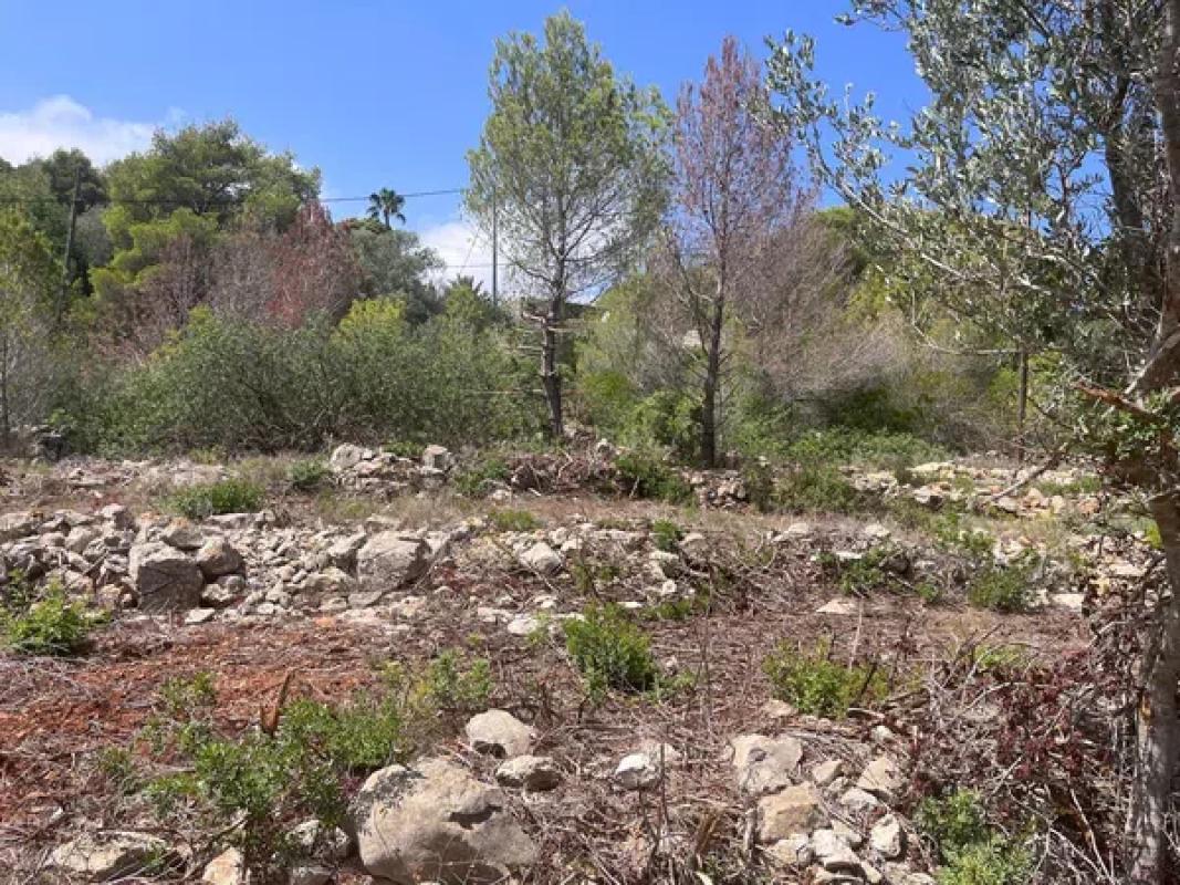 Land for sale in Denia, Alicante photo 2