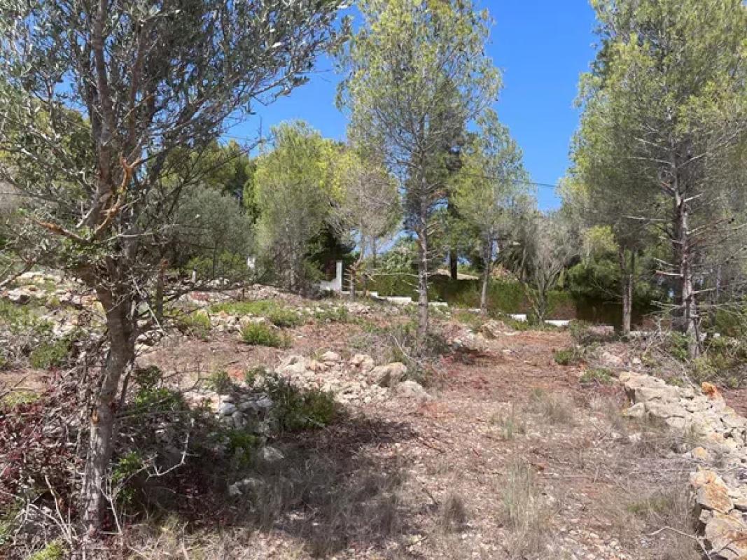 Land for sale in Denia, Alicante photo 3