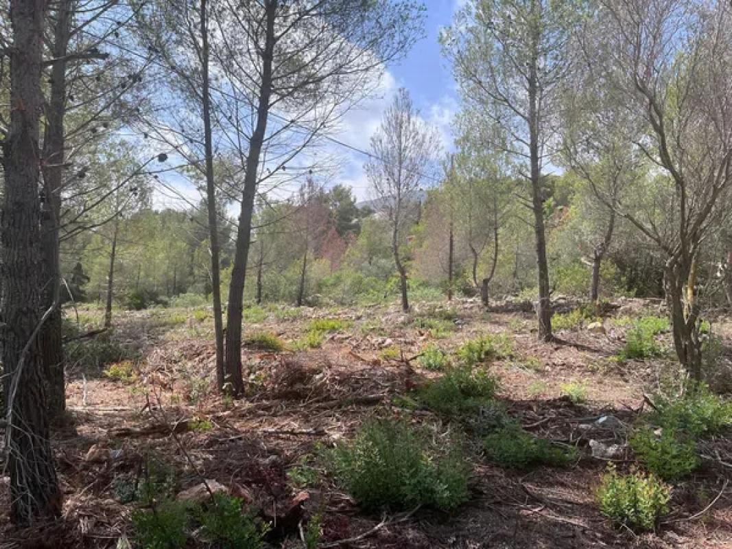 Land for sale in Denia, Alicante photo 4