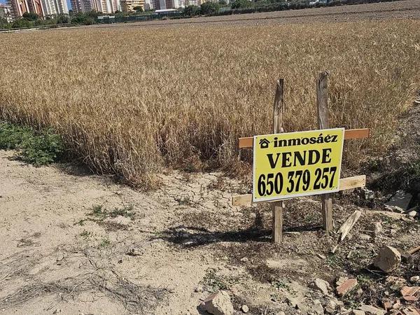 Terreno en camino Ginebral photo 1