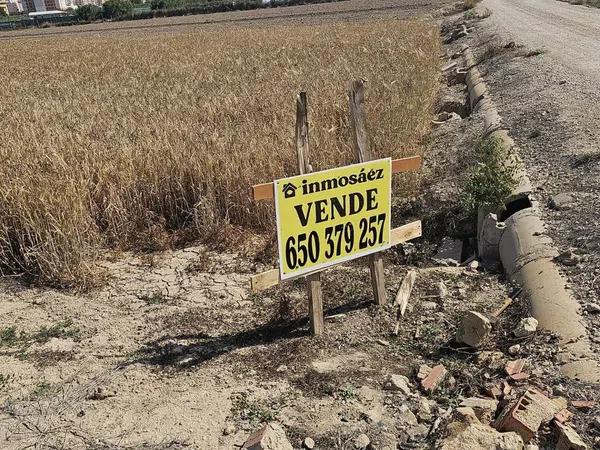 Terreno en camino Ginebral photo 3