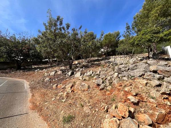 Terreno en calle dacsa, 12 thumbnail 1