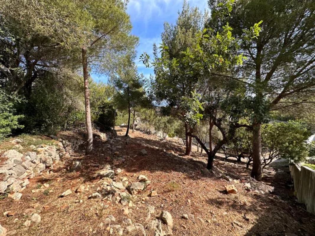 Działka na sprzedaż w Dénia, Alicante photo 4