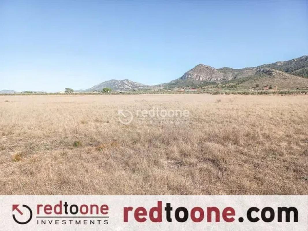 Terreno en venta en Villena, Alicante photo 3