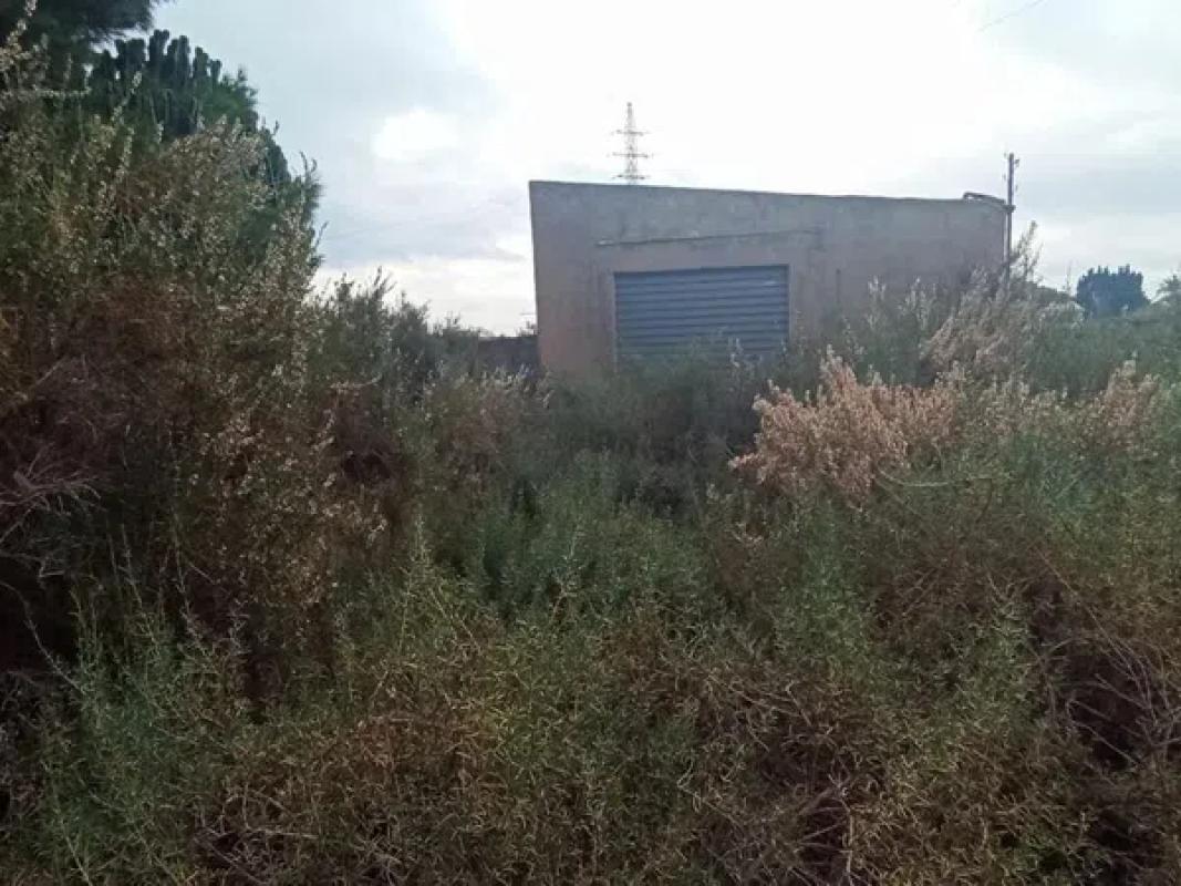Działka na sprzedaż w Elche / Elx, Alicante photo 2