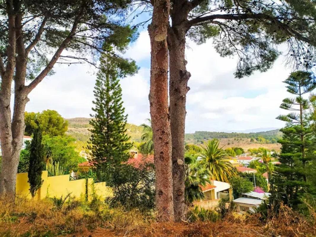 Terreno en venta en Alfaz del Pi, Alicante photo 2