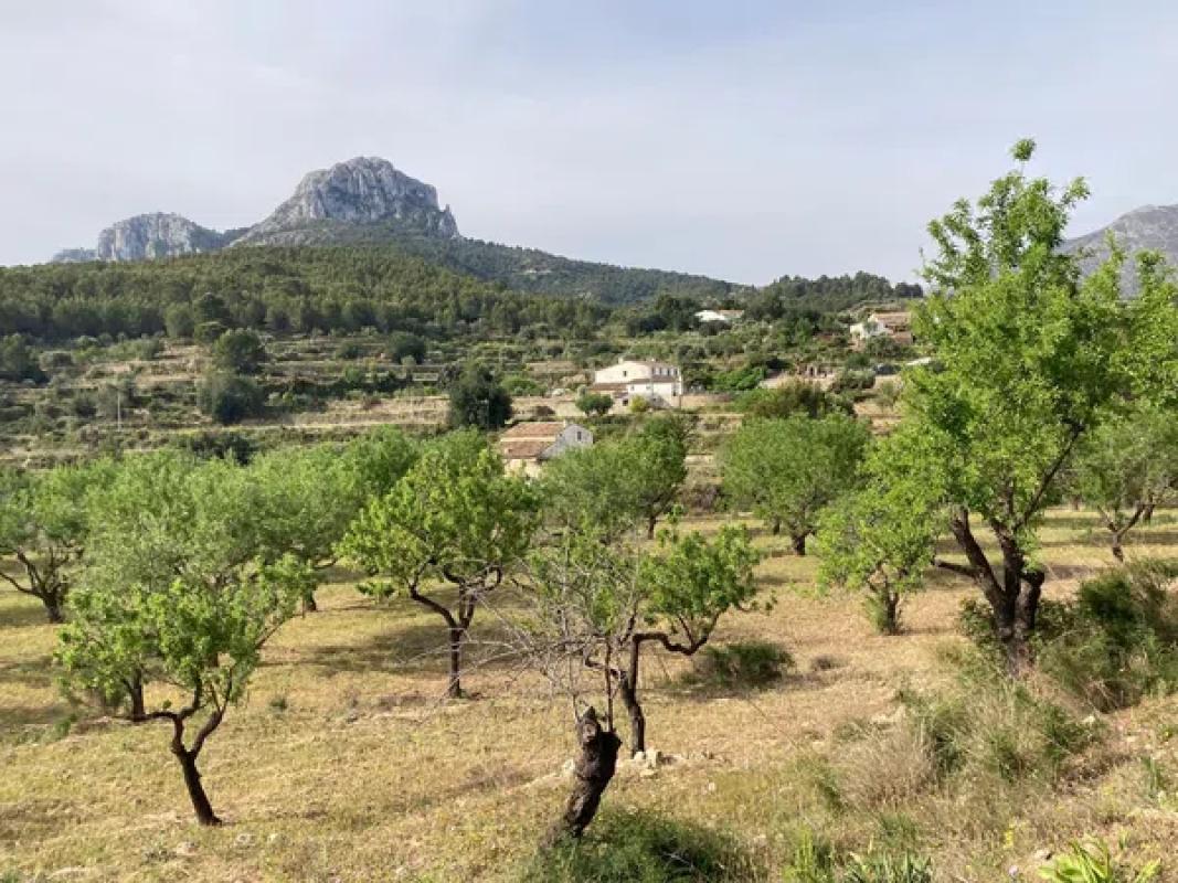 Działka na sprzedaż w Benissa, Alicante photo 5