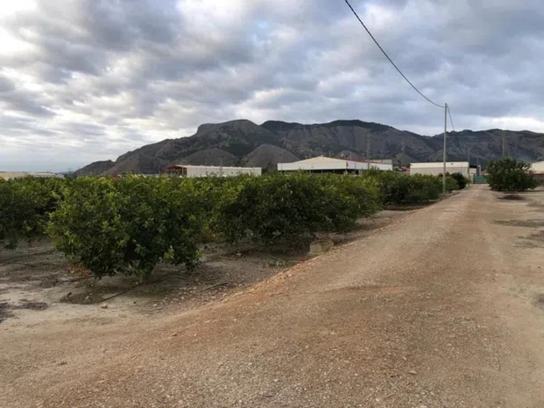 Участок земли на продажу в Ориуэла, Аликанте photo 1