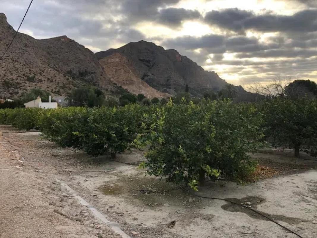 Участок земли на продажу в Ориуэла, Аликанте photo 2