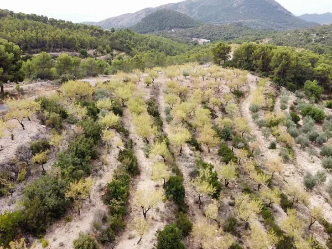 Terreno en venta en Finestrat, Alicante photo 1