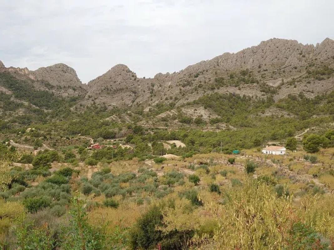 Terreno en venta en Finestrat, Alicante photo 2