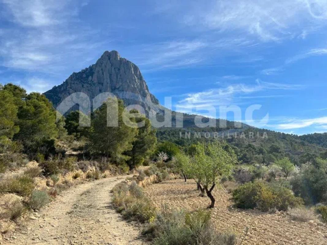 Terreno en venta en Finestrat, Alicante photo 3