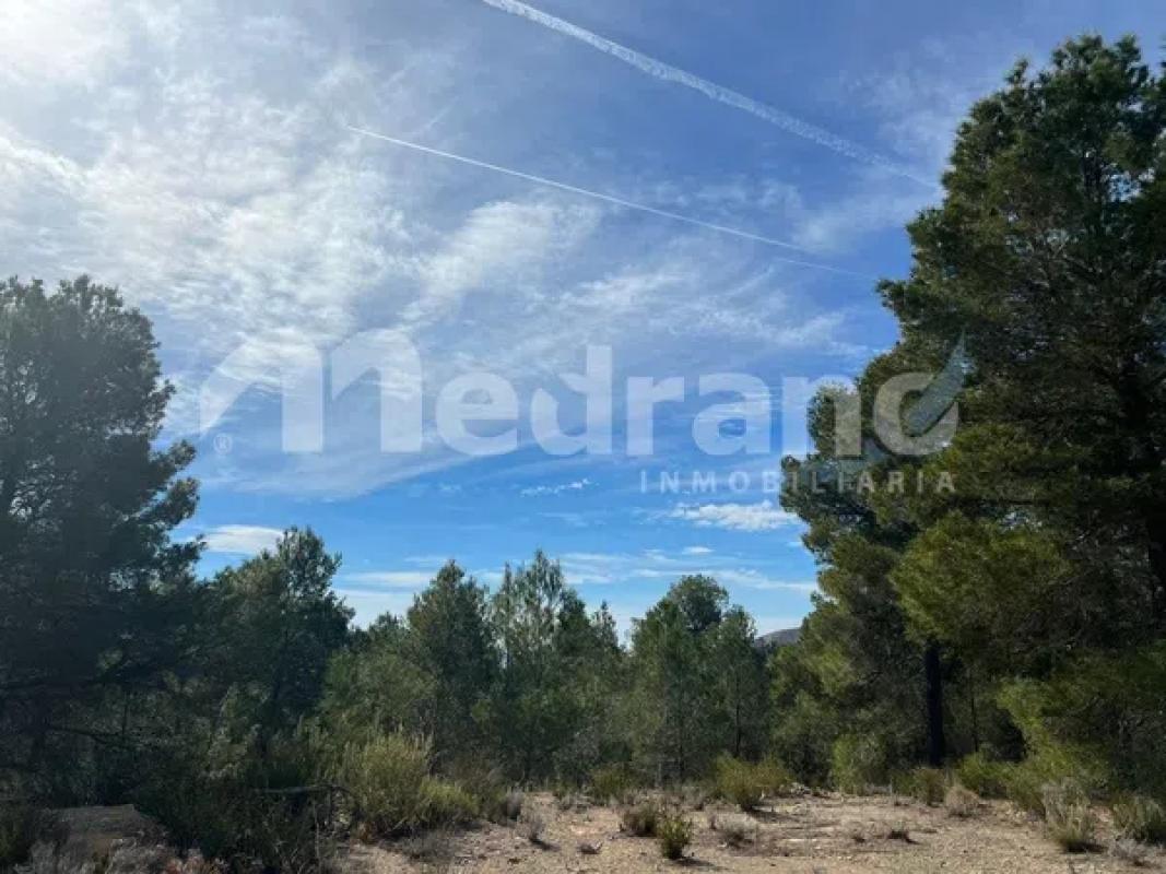 Terreno en venta en Finestrat, Alicante photo 4