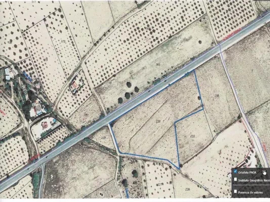 Land for sale in Villena, Alicante photo 5