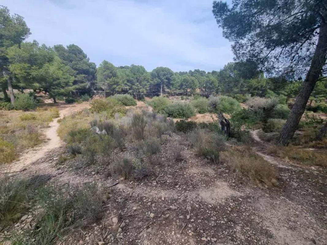 Terreno en venta en Alfaz del Pi, Alicante photo 1