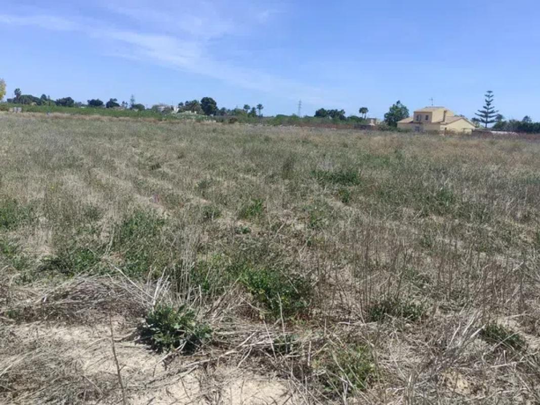 Działka na sprzedaż w Elche / Elx, Alicante photo 1