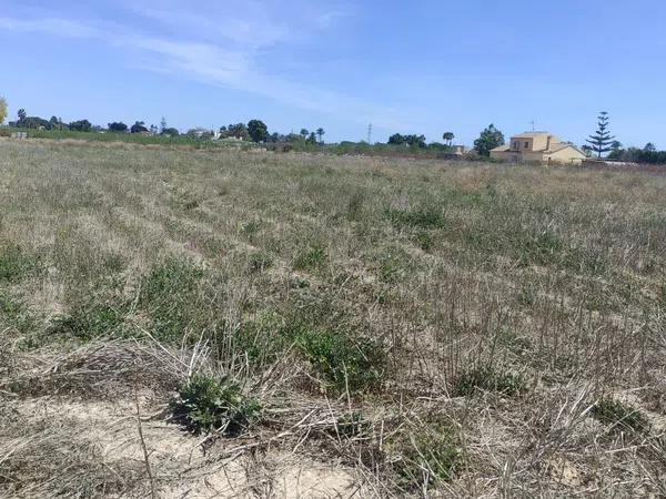 Terreno en camino viejo de santa pola s/n photo 1