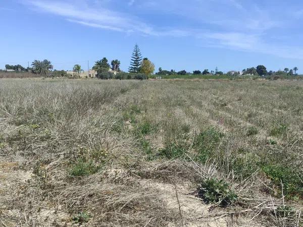 Terreno en camino viejo de santa pola s/n thumbnail 2