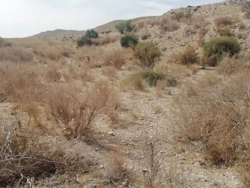 Terreno en venta en Mutxamel, Alicante photo 3