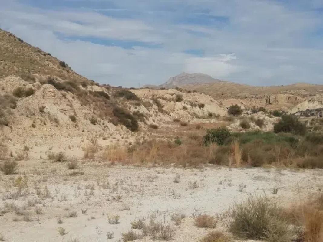 Terreno en venta en Mutxamel, Alicante photo 4