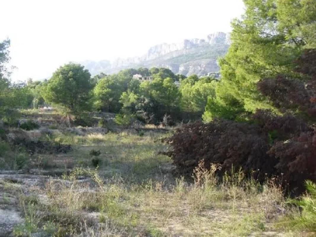 Terreno en venta en Altea, Alicante photo 4