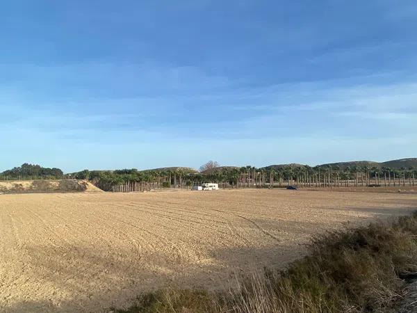 Terreno en camino Palomares s/n photo 1