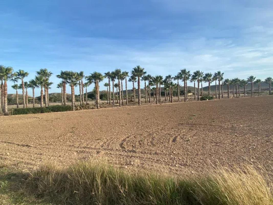 Land for sale in Alicante, Alicante photo 2