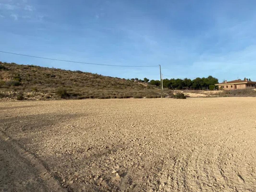 Land for sale in Alicante, Alicante photo 4