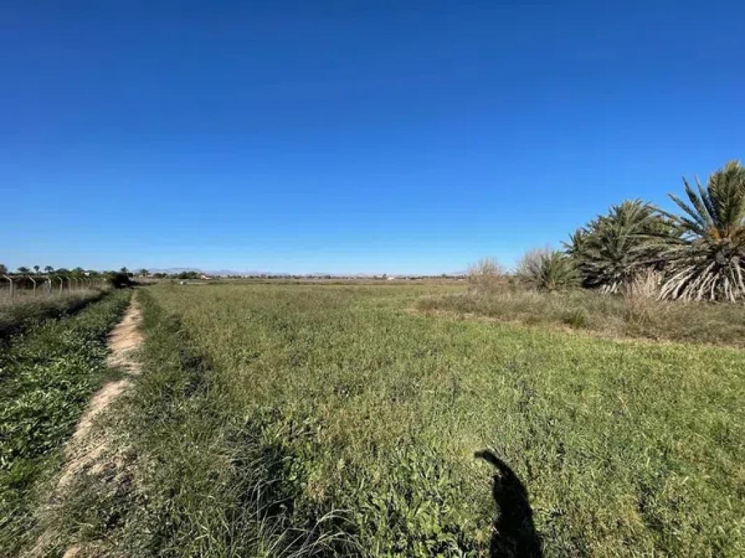 Terreno en venta en Elche / Elx, Alicante photo 2