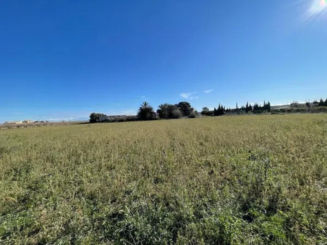 Terreno en venta en Elche / Elx, Alicante photo 3