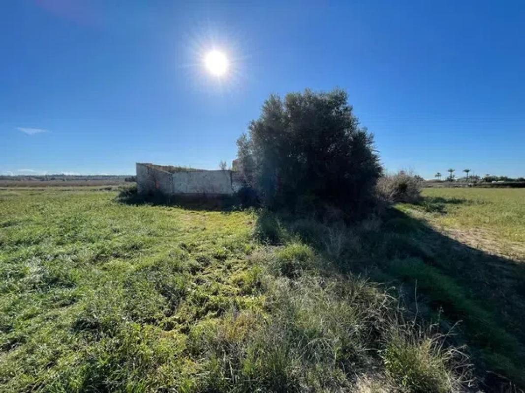 Terreno en venta en Elche / Elx, Alicante photo 4