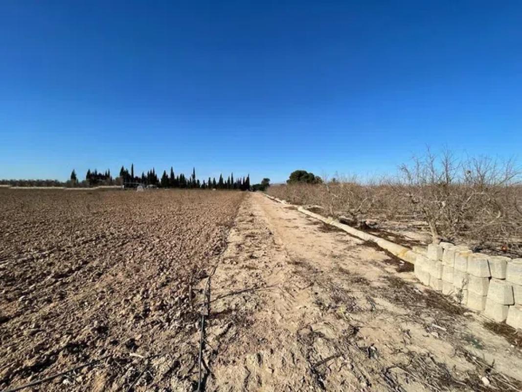 Terreno en venta en Elche / Elx, Alicante photo 5