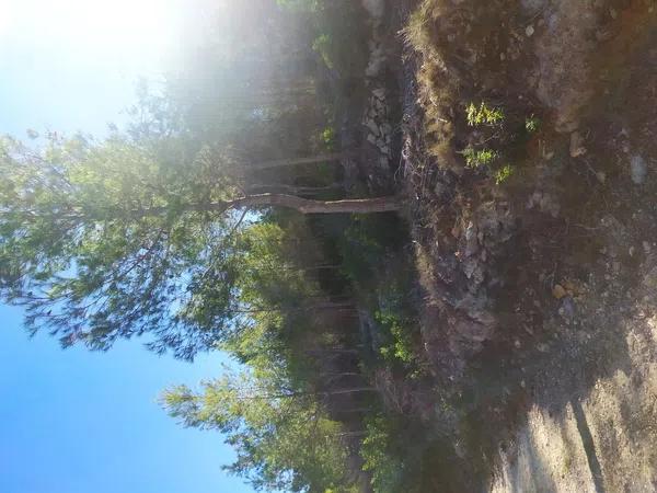 Terreno en calle de Rigel, 7  b photo 3