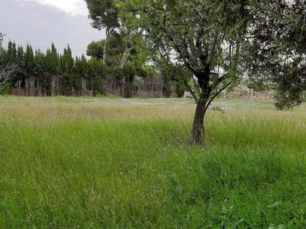 Terreno en venta en Elche / Elx, Alicante photo 2