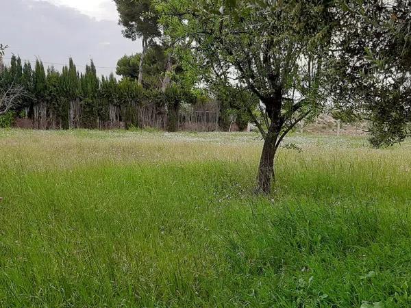 Terreno en Jubalcoi-Saladas photo 2