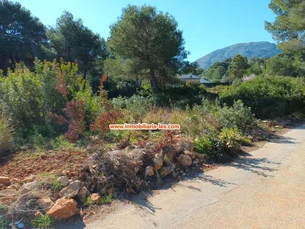 Terreno en Les Rotes/Las Rotas photo 1