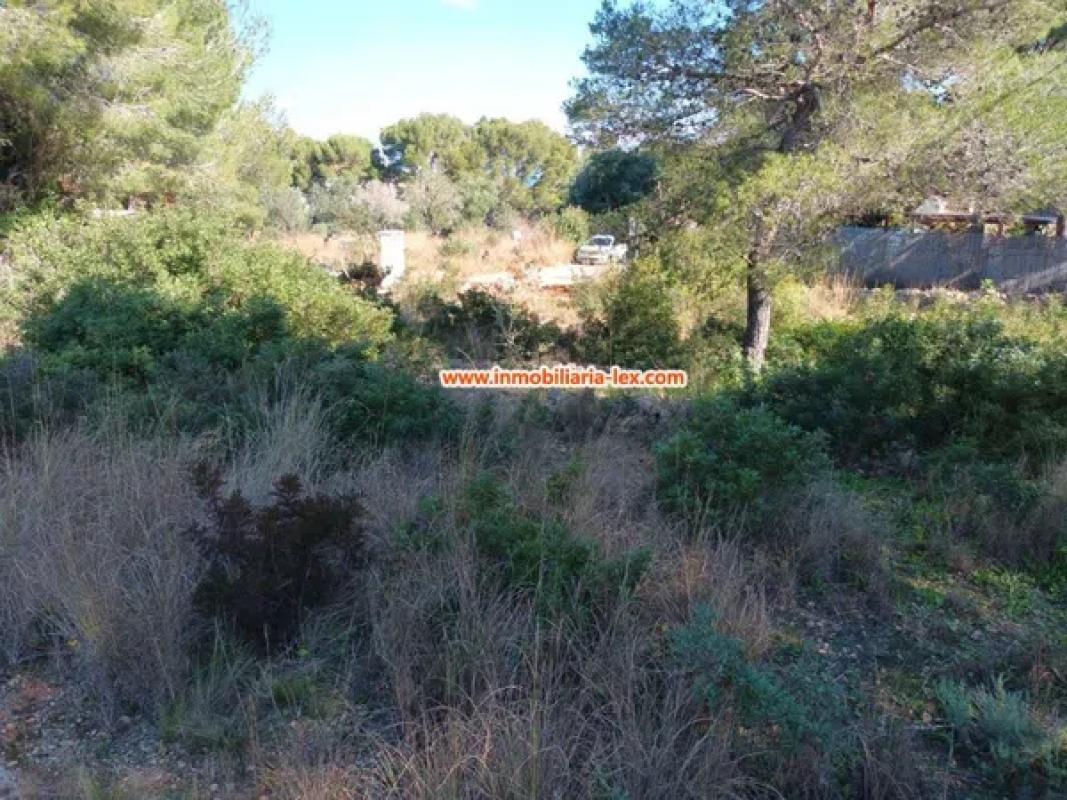 Land for sale in Denia, Alicante photo 2