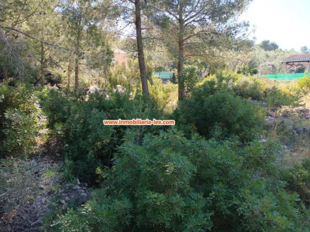 Land for sale in Denia, Alicante photo 3