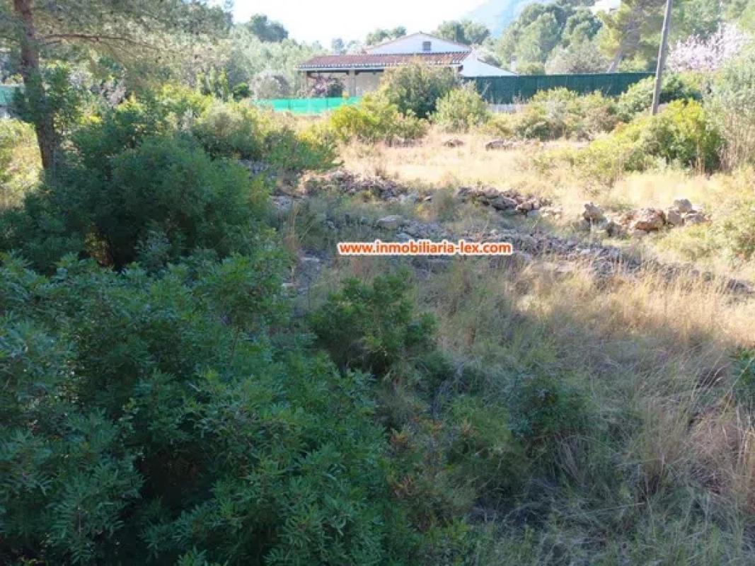 Land for sale in Denia, Alicante photo 4