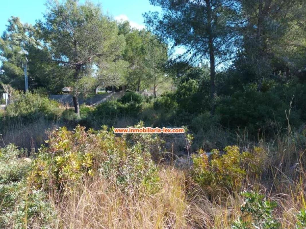 Land for sale in Denia, Alicante photo 5