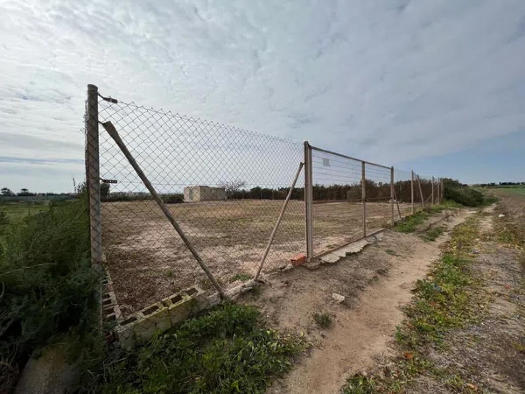 Terreno en venta en Pilar de la Horadada, Alicante photo 3