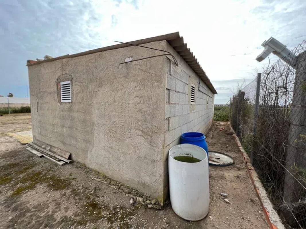 Terreno en venta en Pilar de la Horadada, Alicante photo 4