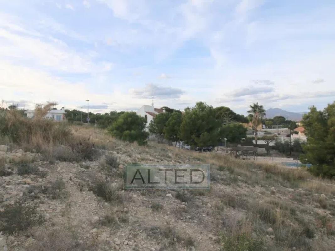 Terreno en venta en Mutxamel, Alicante photo 4