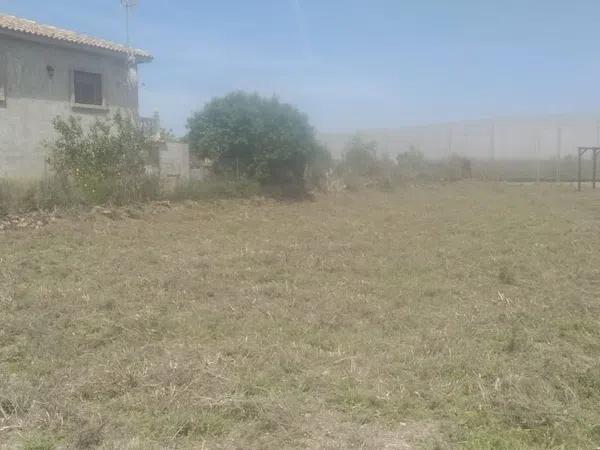 Terreno en carretera casas nuevas s/n photo 4